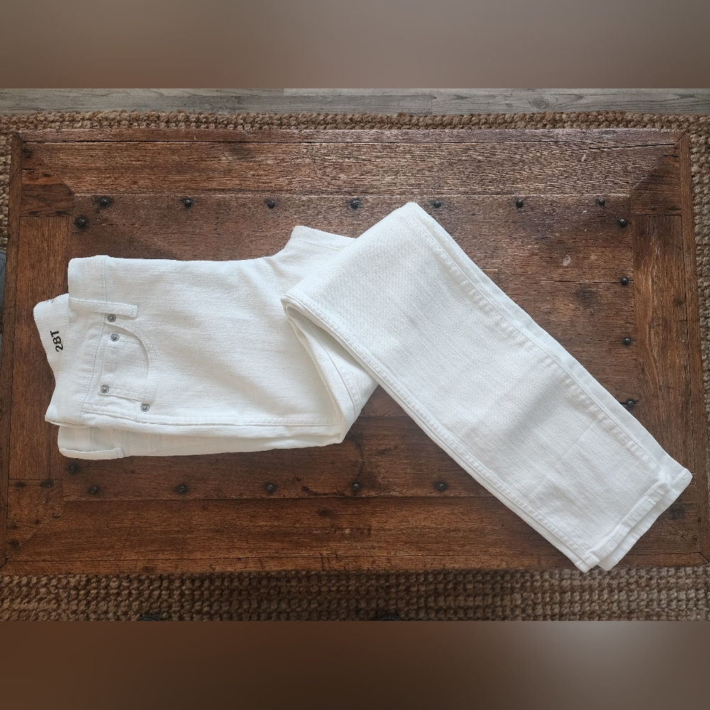 NWT J.Crew Slim Straight Jeans